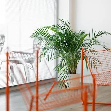 Lorenc Apartamento Zlín